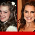 Brooke Shields net worth