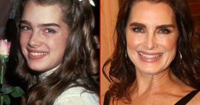 Brooke Shields net worth