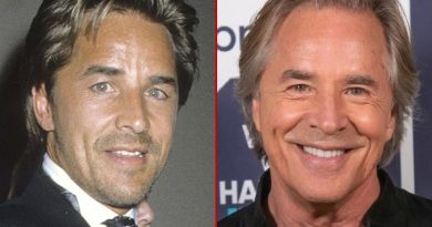 Don Johnson net worth