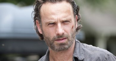 Andrew Lincoln net worth