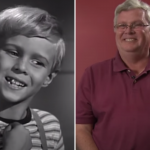 Jay North net worth