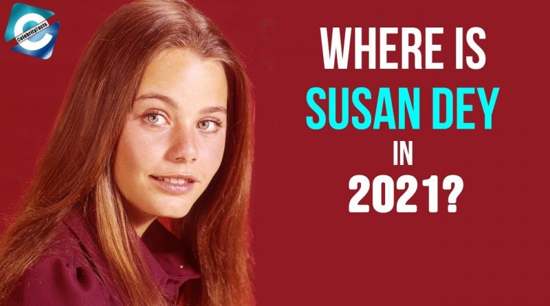 Susan Dey net worth