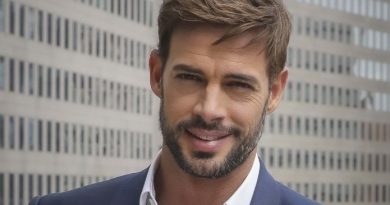 William Levy net worth