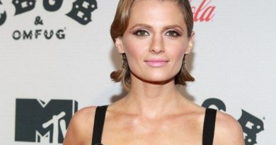 Stana Katic Net Worth