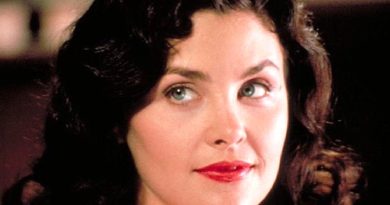 Sherilyn Fenn Wealth